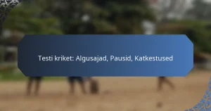 Testi kriket: Algusajad, Pausid, Katkestused