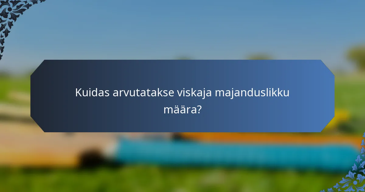 Kuidas arvutatakse viskaja majanduslikku määra?
