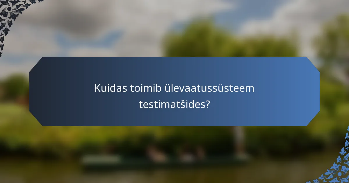 Kuidas toimib ülevaatussüsteem testimatšides?