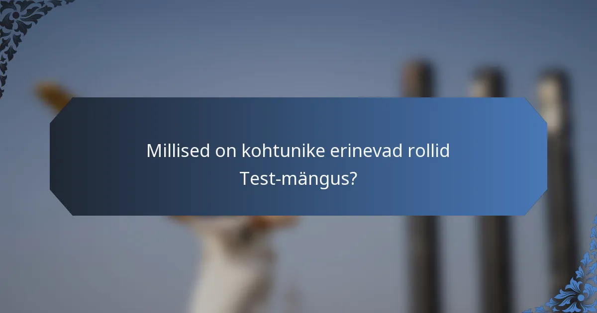 Millised on kohtunike erinevad rollid Test-mängus?