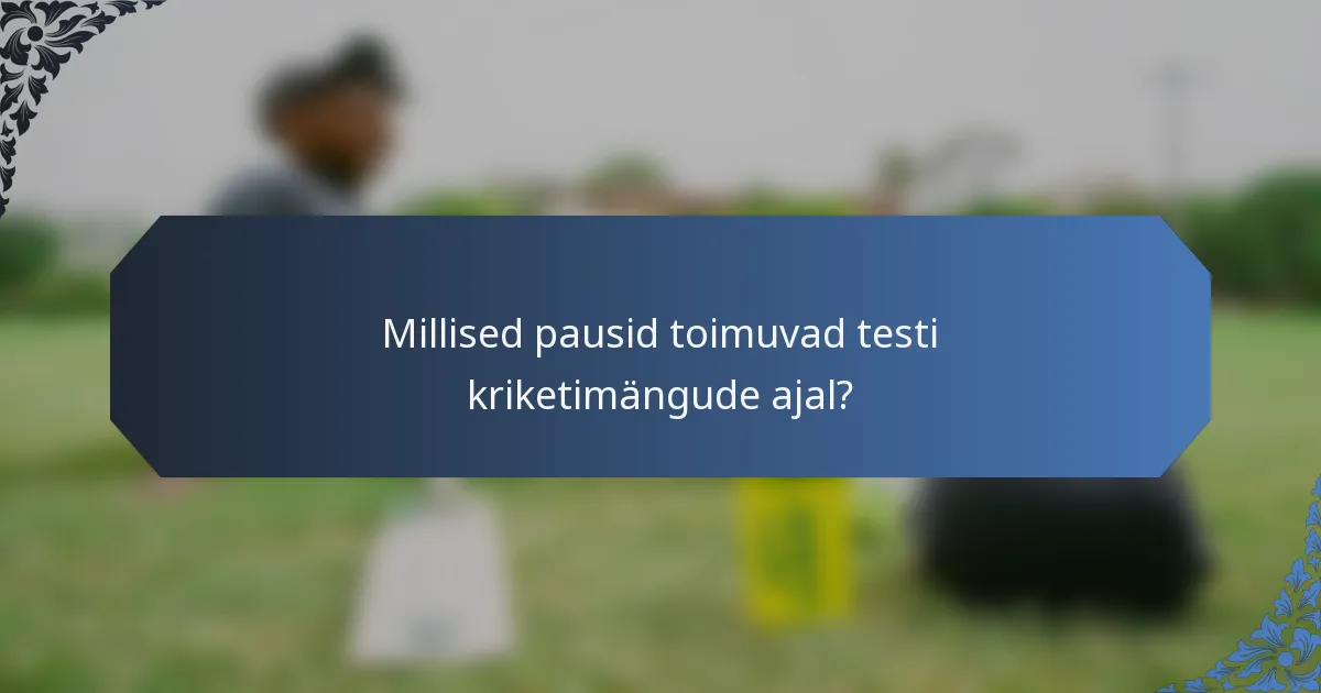Millised pausid toimuvad testi kriketimängude ajal?